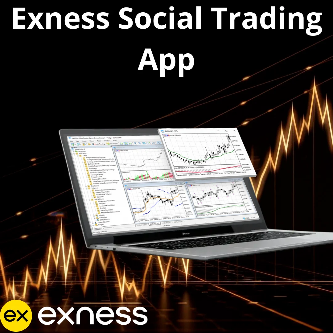 Exness Social Trading App