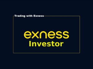 Exness Investor Account