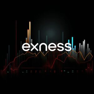 Exness Limited Company Profile