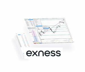 How to Include Servers in Exness MetaTrader